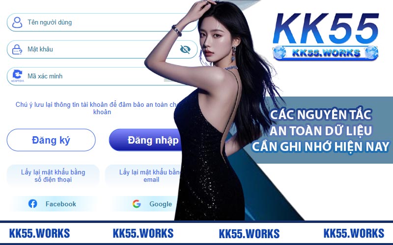 Các nguyên tắc an toàn dữ liệu cần ghi nhớ hiện nay