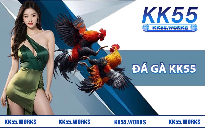 Đá gà KK55